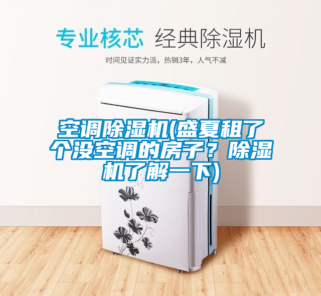 空調除濕機(盛夏租了個沒空調的房子？除濕機了解一下)