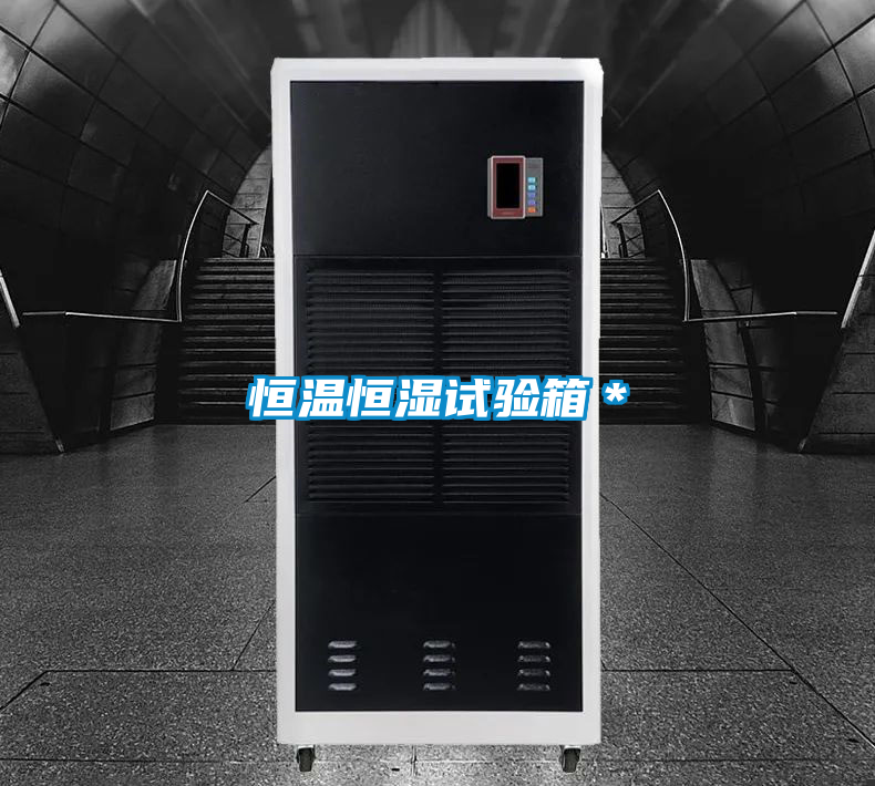 恒溫恒濕試驗箱*