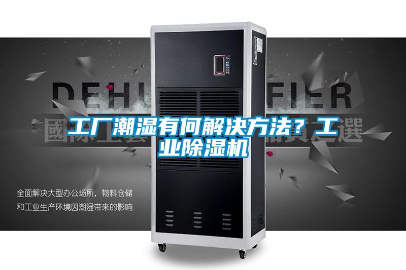 工廠潮濕有何解決方法？工業除濕機