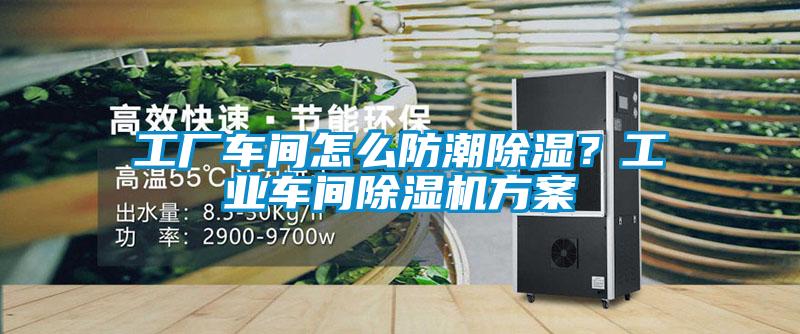 工廠車間怎么防潮除濕？工業車間除濕機方案