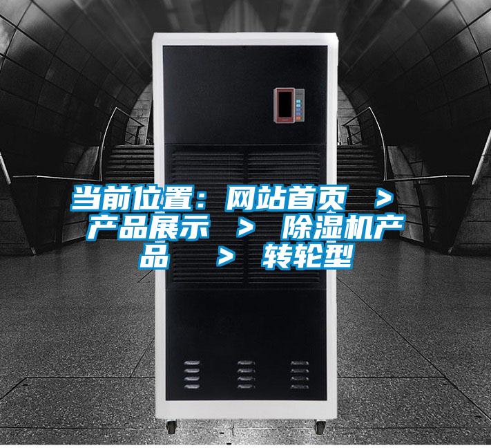 當前位置:網(wǎng)站首頁 > 產(chǎn)品展示 > 除濕機產(chǎn)品 > 轉(zhuǎn)輪型