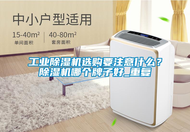 工業(yè)除濕機(jī)選購要注意什么？除濕機(jī)哪個(gè)牌子好_重復(fù)