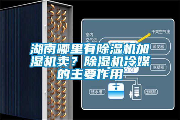 湖南哪里有除濕機加濕機賣？除濕機冷媒的主要作用