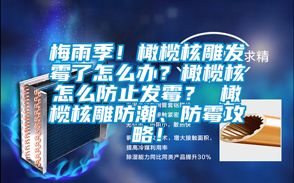 梅雨季！橄欖核雕發(fā)霉了怎么辦？橄欖核怎么防止發(fā)霉？ 橄欖核雕防潮、防霉攻略！