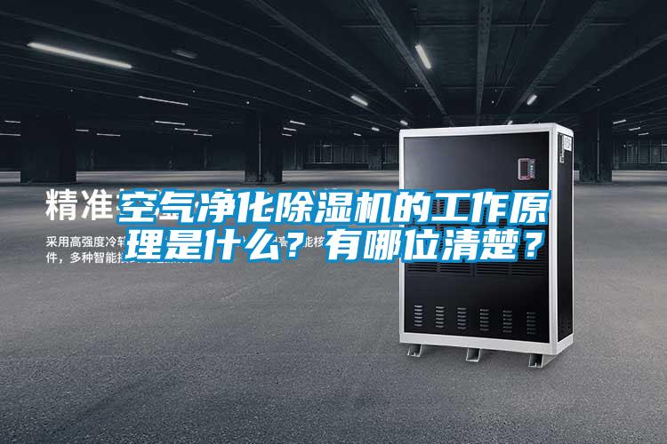 空氣凈化除濕機(jī)的工作原理是什么?有哪位清楚?