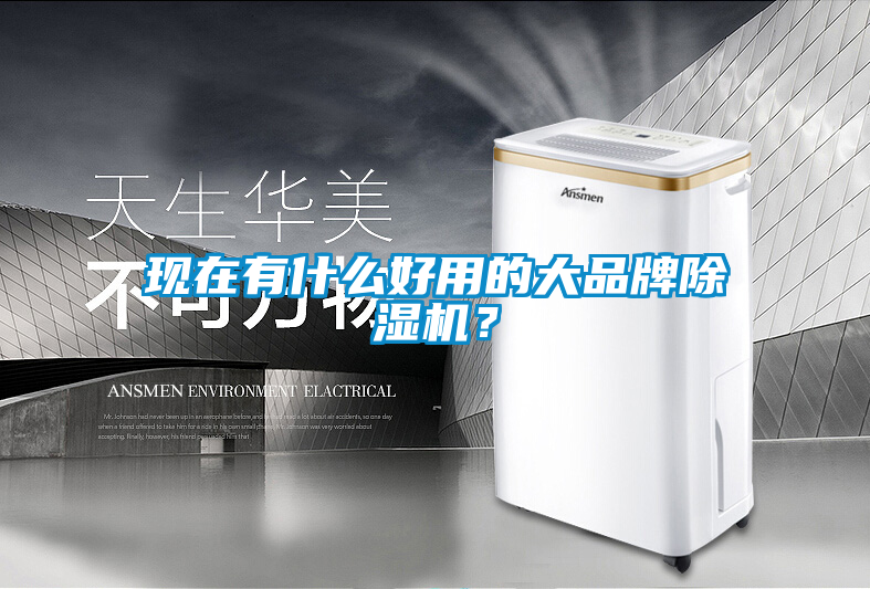 現在有什么好用的大品牌除濕機?