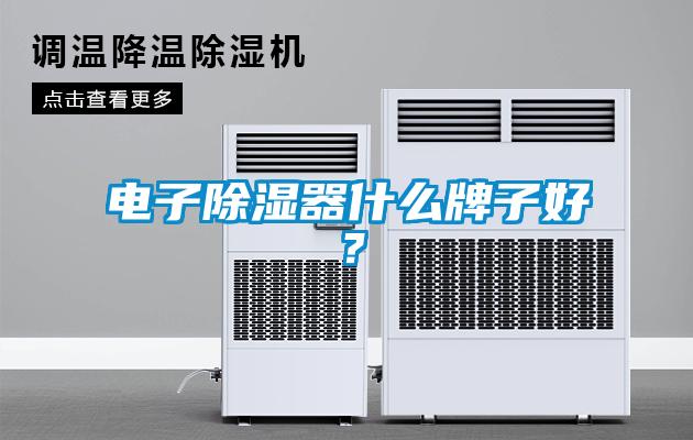 電子除濕器什么牌子好？