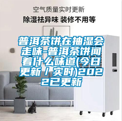 普洱茶餅在抽濕會走味-普洱茶餅聞著什么味道(今日更新/實時)2022已更新