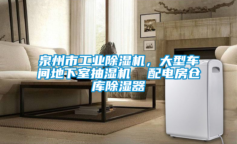 泉州市工業(yè)除濕機,大型車間地下室抽濕機 配電房倉庫除濕器