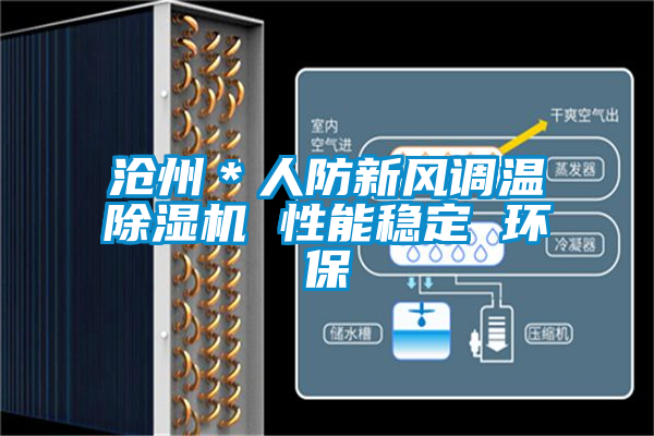 滄州*人防新風(fēng)調(diào)溫除濕機 性能穩(wěn)定 環(huán)保