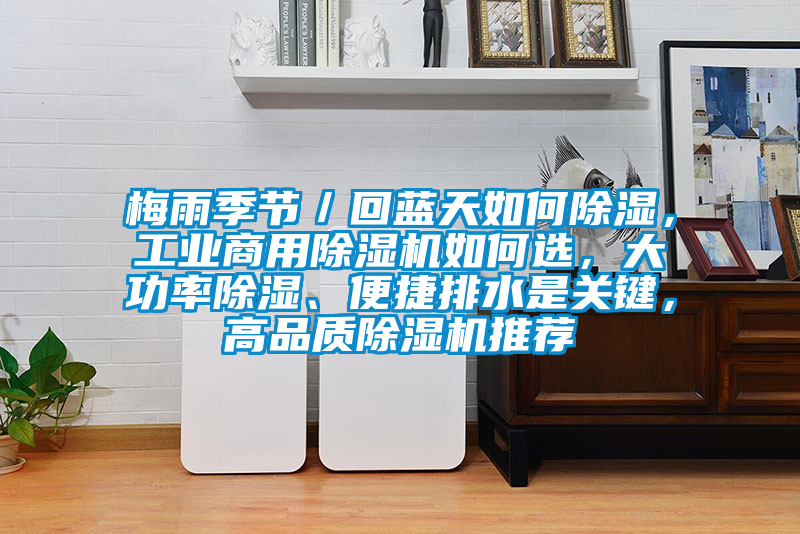 梅雨季節／回藍天如何除濕，工業商用除濕機如何選，大功率除濕、便捷排水是關鍵，高品質除濕機推薦