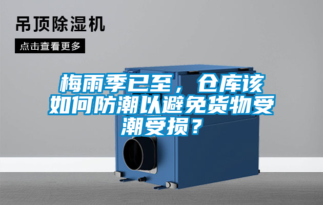 梅雨季已至，倉庫該如何防潮以避免貨物受潮受損？