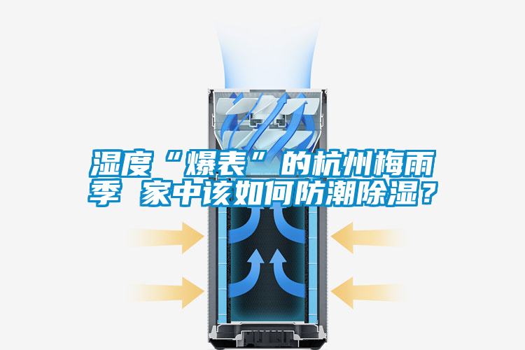 濕度“爆表”的杭州梅雨季 家中該如何防潮除濕?