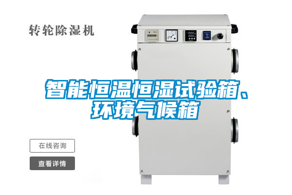 智能恒溫恒濕試驗箱、環境氣候箱