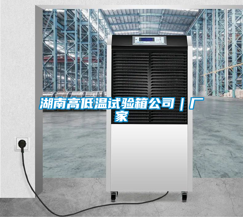 湖南高低溫試驗箱公司|廠家