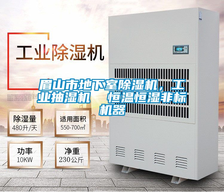 眉山市地下室除濕機，工業抽濕機  恒溫恒濕非標機器