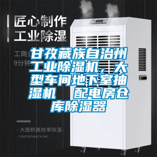 甘孜藏族自治州工業除濕機,大型車間地下室抽濕機 配電房倉庫除濕器
