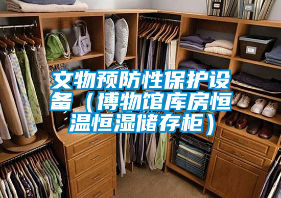 文物預防性保護設備(博物館庫房恒溫恒濕儲存柜)