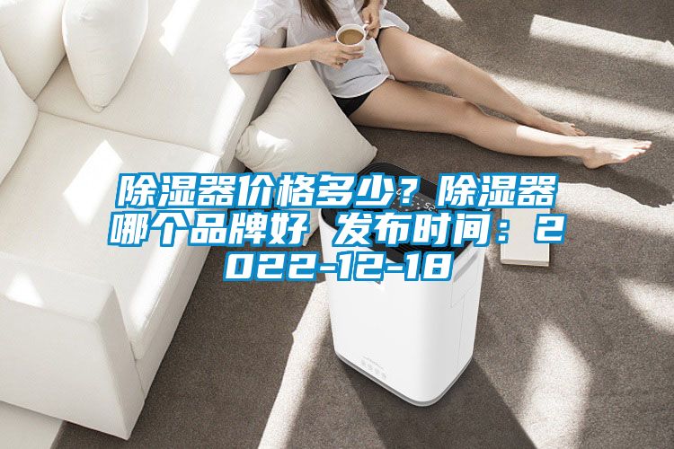除濕器價格多少?除濕器哪個品牌好 發布時間:2022-12-18