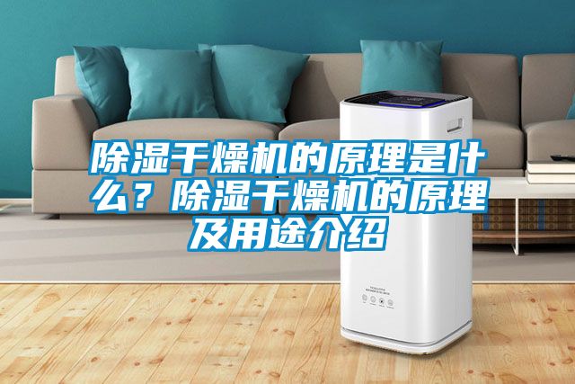 除濕干燥機的原理是什么？除濕干燥機的原理及用途介紹