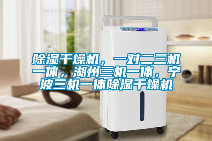 除濕干燥機(jī),一對(duì)二三機(jī)一體,湖州三機(jī)一體,寧波三機(jī)一體除濕干燥機(jī)
