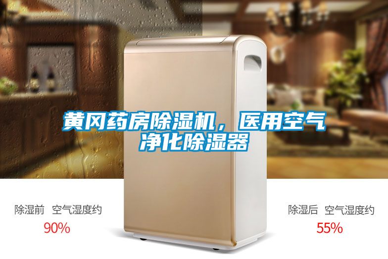 黃岡藥房除濕機，醫(yī)用空氣凈化除濕器